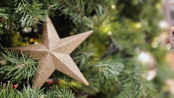 Kerkdienst – kerst