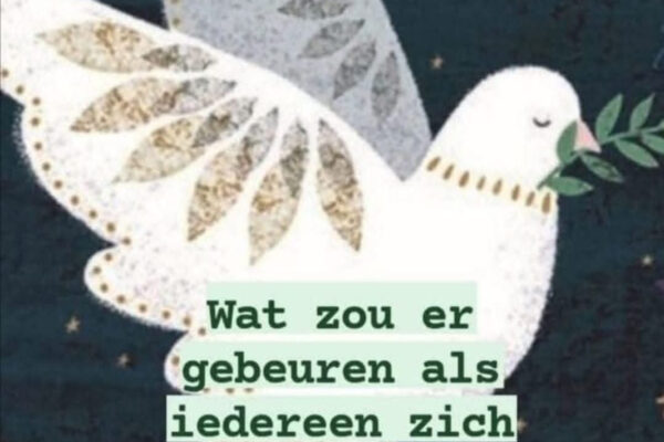 Wat als iedereen zich gaat voorbereiden op vrede?